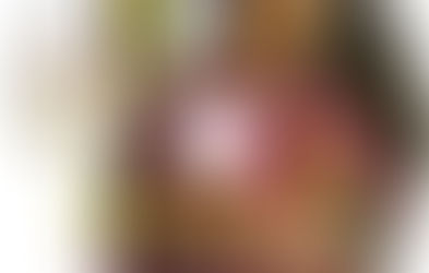 Os Novíssimos do homem