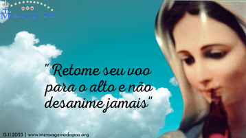 15.11.2023 |"Retome seu voo para o alto e não desanime jamais." 