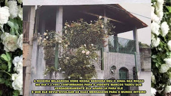 O Milagre da Roseira