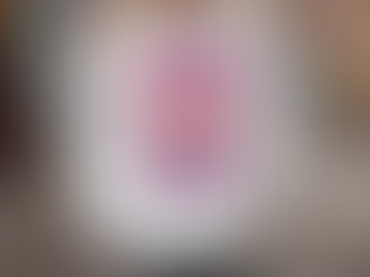 Philadelphia Phillies New Era White Ringer T Shirt