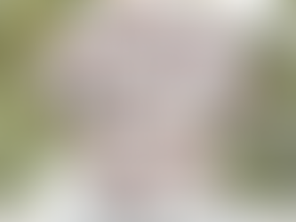 Mount Olive North Carolina Mount Olive Fire Department Hawaiian Shirt