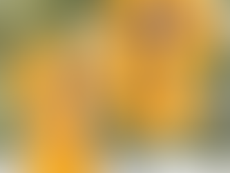 Postnl Logo Brand Hawaiian Shirt Custom Name Trending Summer