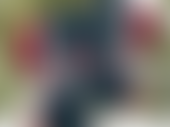 NFL Houston Texans Graphic American Flag Hot Summer Hawaiian Shirt 2024