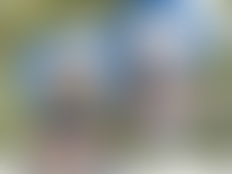 Seattle Seahawks NFL Street Style Hawaiian Shirt