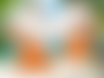 Custom Name NBA New York Knicks Traditional 3D Hawaiian Shirt Flower For Summer