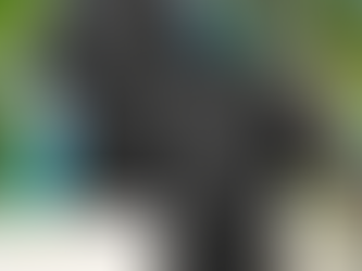 Purdue Boilermakers Colosseum Dude Camp Combo Hawaiian Shirt And Short