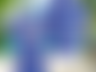 Boise State Broncos Hawaiian Shirt Trending Summer Aloha Shirt For Fan