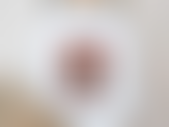 JonasBrothers Live In Houston Rodeo March 15 2024 Shirt