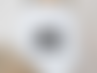 Forget The Bunnies Im Chasing Hunnies shirt