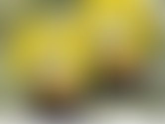 US Marine Corps McDonnell F 4B Phantom II Of VMFA 531 Grey Ghosts Hawaiian Shirt Beach Shirt For Men Women