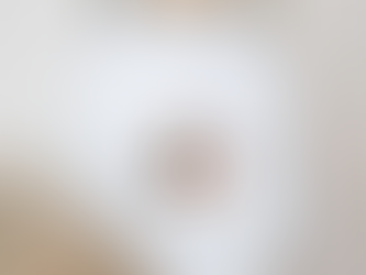 Chip and Dale Chipmunks Balloons shirt