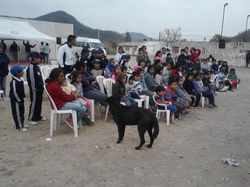 IMG10622.jpg