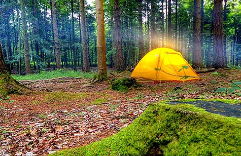 formule-camping-sauvage-nature_edited.jpg