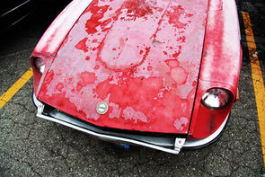 IMG_2612b_e.jpg