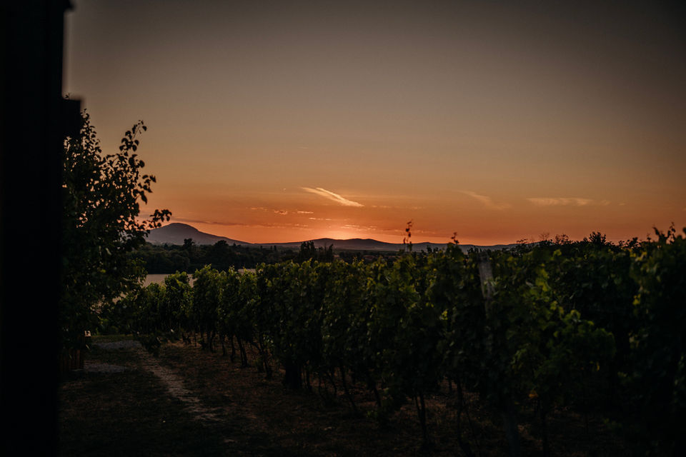 AIVA Glamping Vineyards – Slepčany — Photo 1 of 12