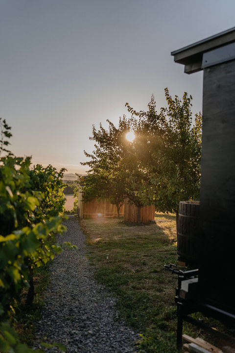 AIVA Glamping Vineyards – Slepčany — Photo 11 of 12