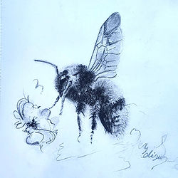 Bee in charcoal