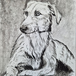 Hound dog in charcoal