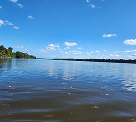 20250122_150610 2.jpg