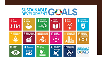 SDG (English).png