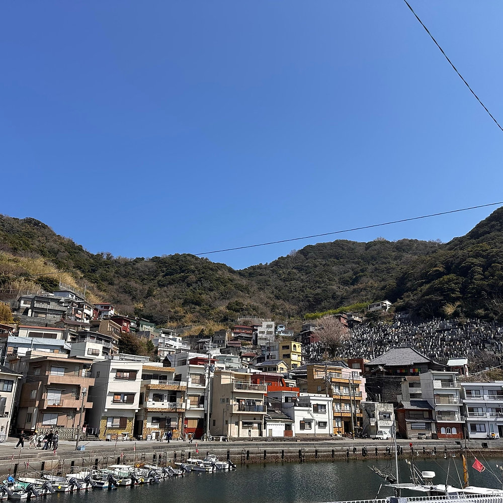 保戸島フォトコンテスト結果報告~Part21~の写真(大分県津久見市)
