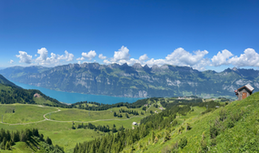 Understanding Risk in Investing: A Key to Success