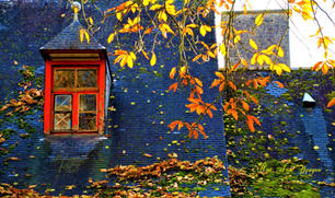 Window-fall