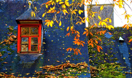Window-fall-Belgium