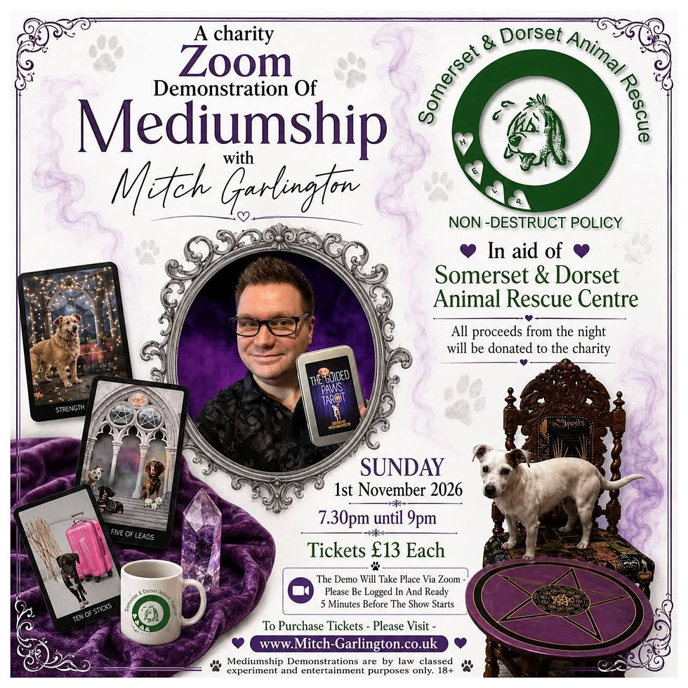 A Charity Zoom Demonstration Of Mediumship - With Mitch