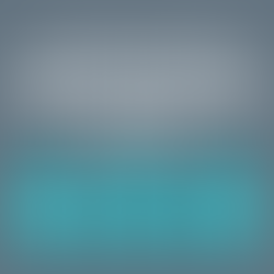 BC Real Estate Sales Volume Down Nearly Forty Percent in January 2019