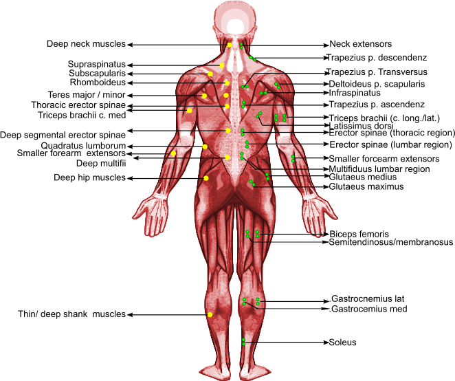 medical massage therapist scottsdale