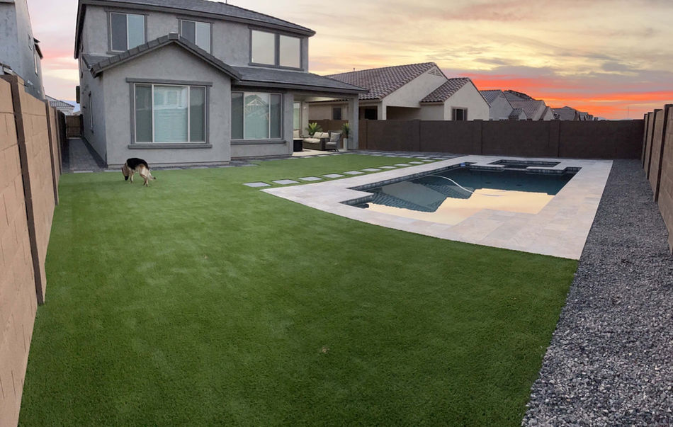 backyard custom pool design Phoenix.