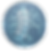 Spine Icon.png