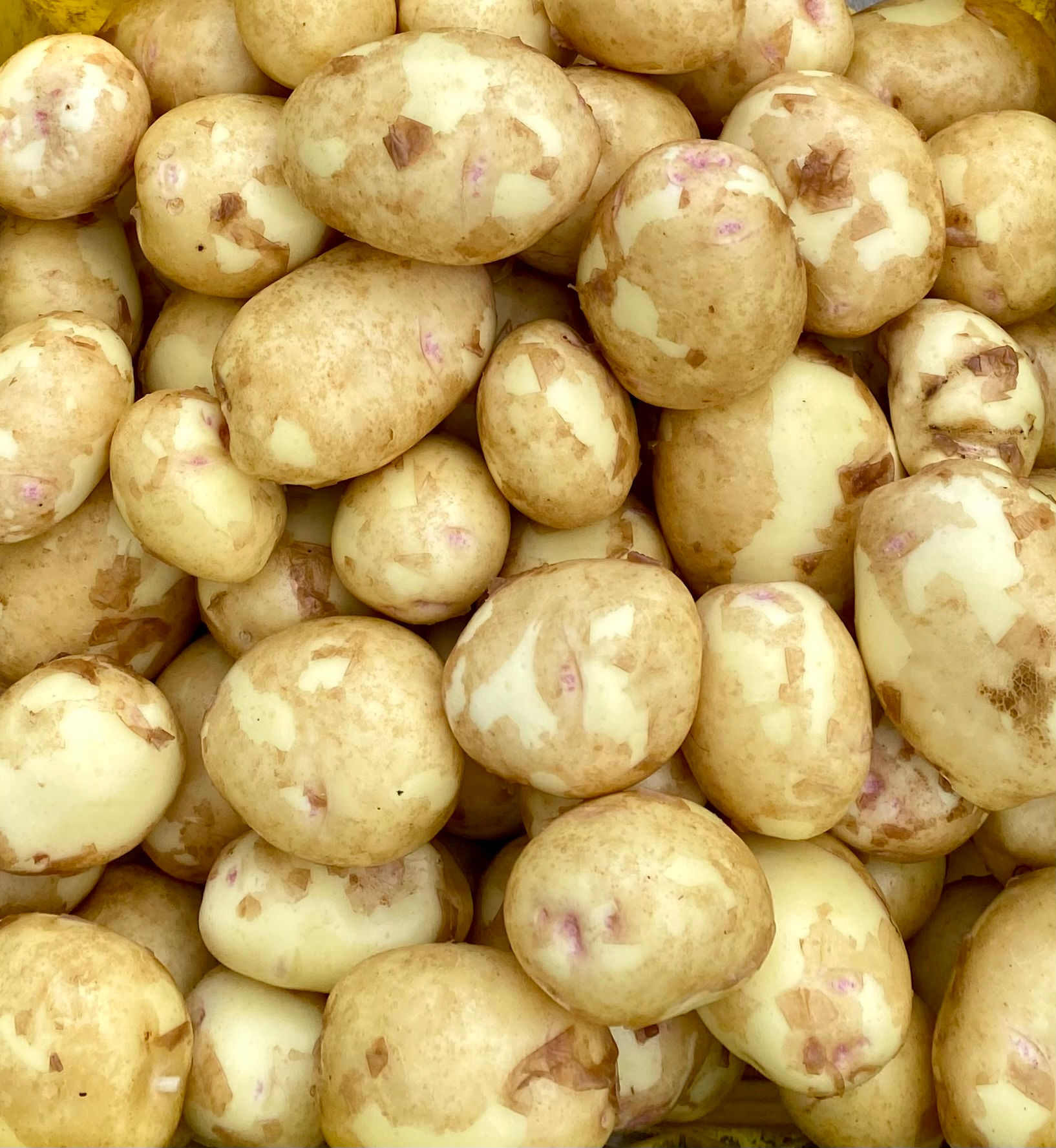 60lb Yukon Gold Potatoes
