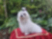 Messenger_creation_b80df4df-4feb-4f7b-a46b-fa9d4b08e70a.jpeg
