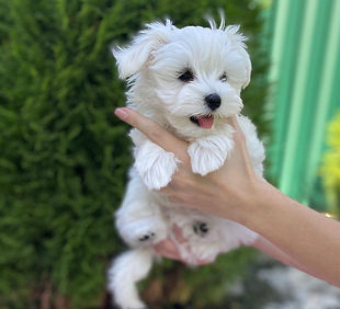 IMG-20240730-WA0001_edited.jpg