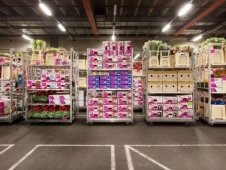 What are the most significant export products of the Netherlands?