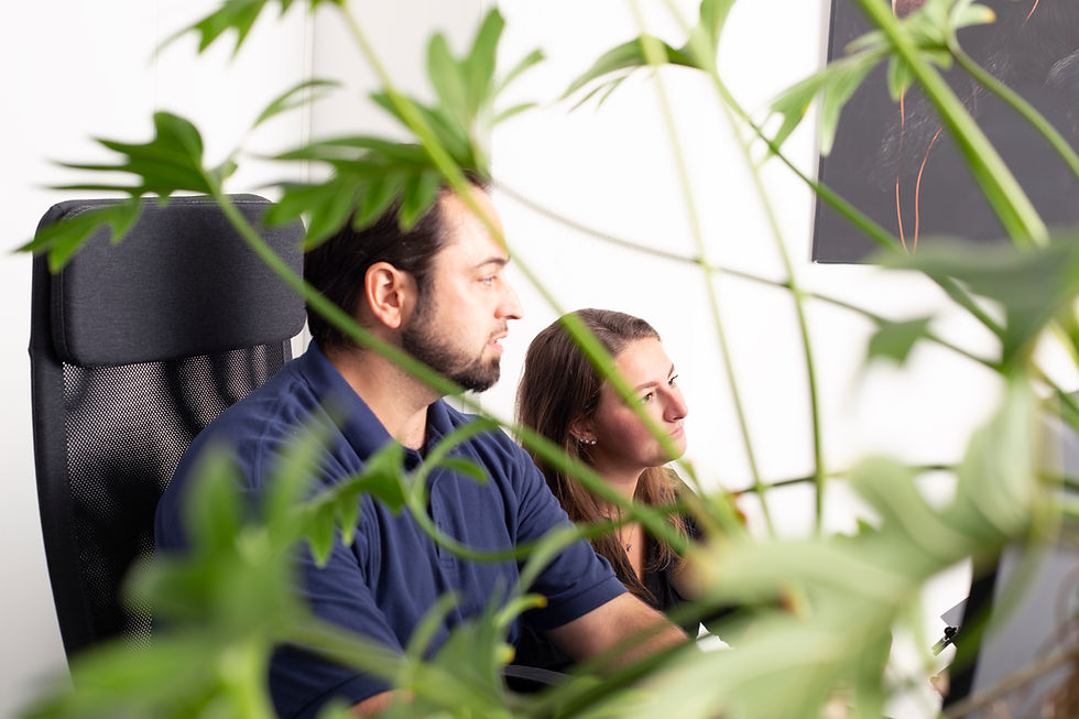 Team Interactive Monkey samenwerken