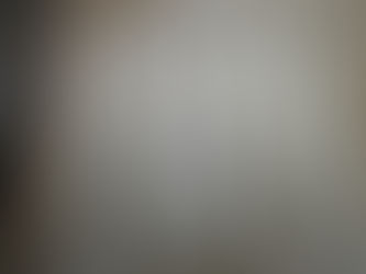 たくさんの白の鹿革紐