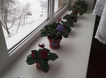 IMG_20220119_084947.jpg