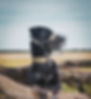 Hund_Maulkorb_edited.jpg