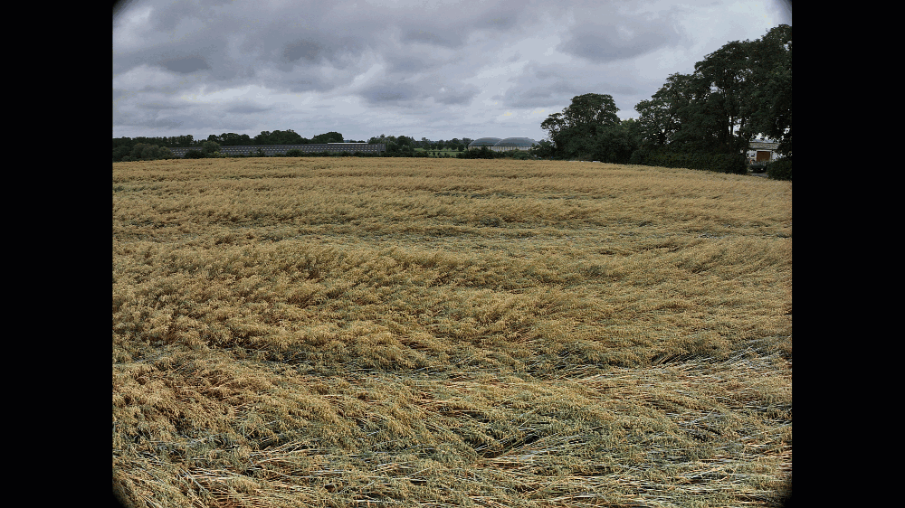 農業マッピングソフトウェア「Pix4Dfields」は、ドローンでの農薬散布に必要な可変施肥マップを作成することができます。