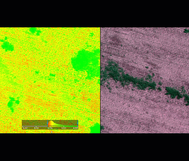 農業マッピングソフトウェア「Pix4Dfields」は、ドローンでの農薬散布に必要な可変施肥マップを作成するこ�とができます。
