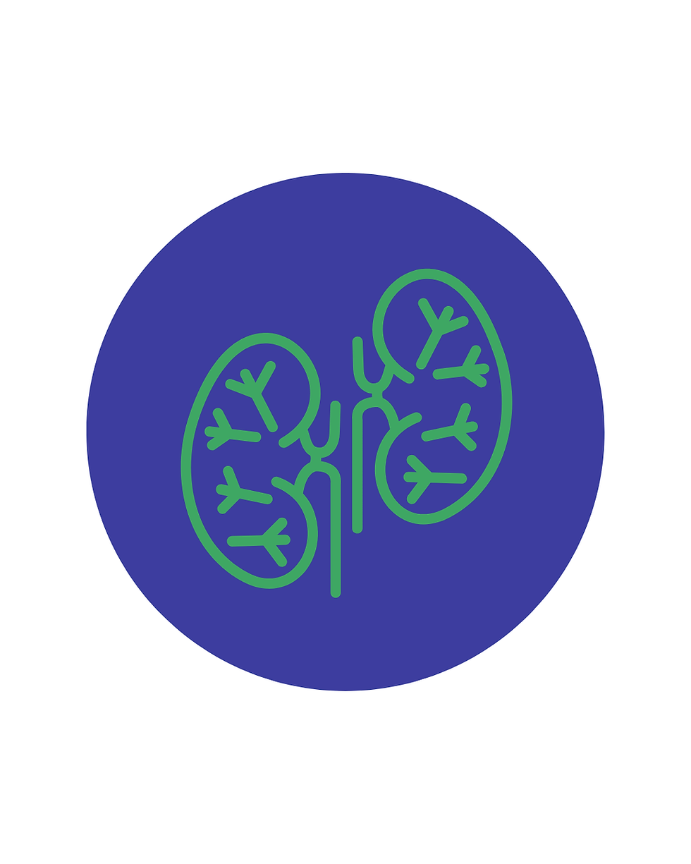 Nephrology I - Nephron Icon.png