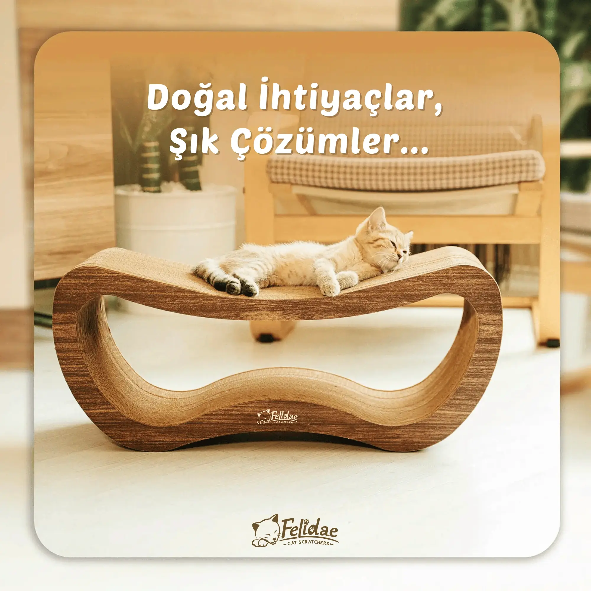 CS8 - Large (Dark Wood)