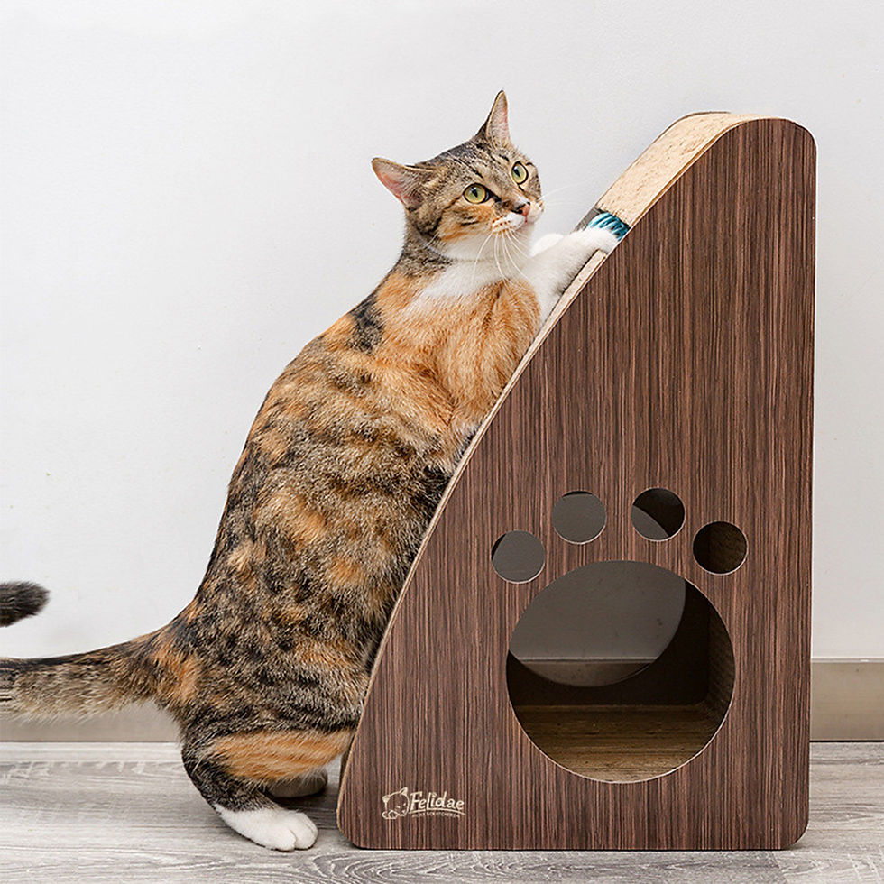 Küçük resim: CS7 - Xlarge (Dark Wood)