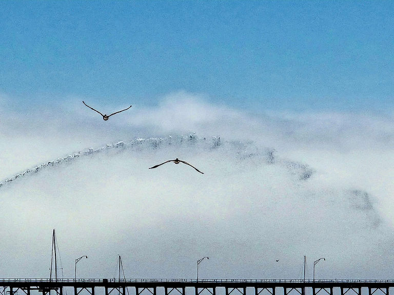 San Luis Harbor.jpg