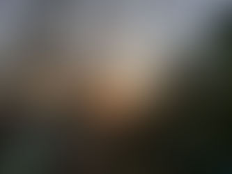 Il guerriero e la nuova coscienza