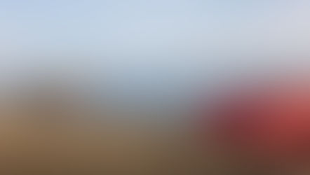 I detti di Sàmharo, maestro di niente...