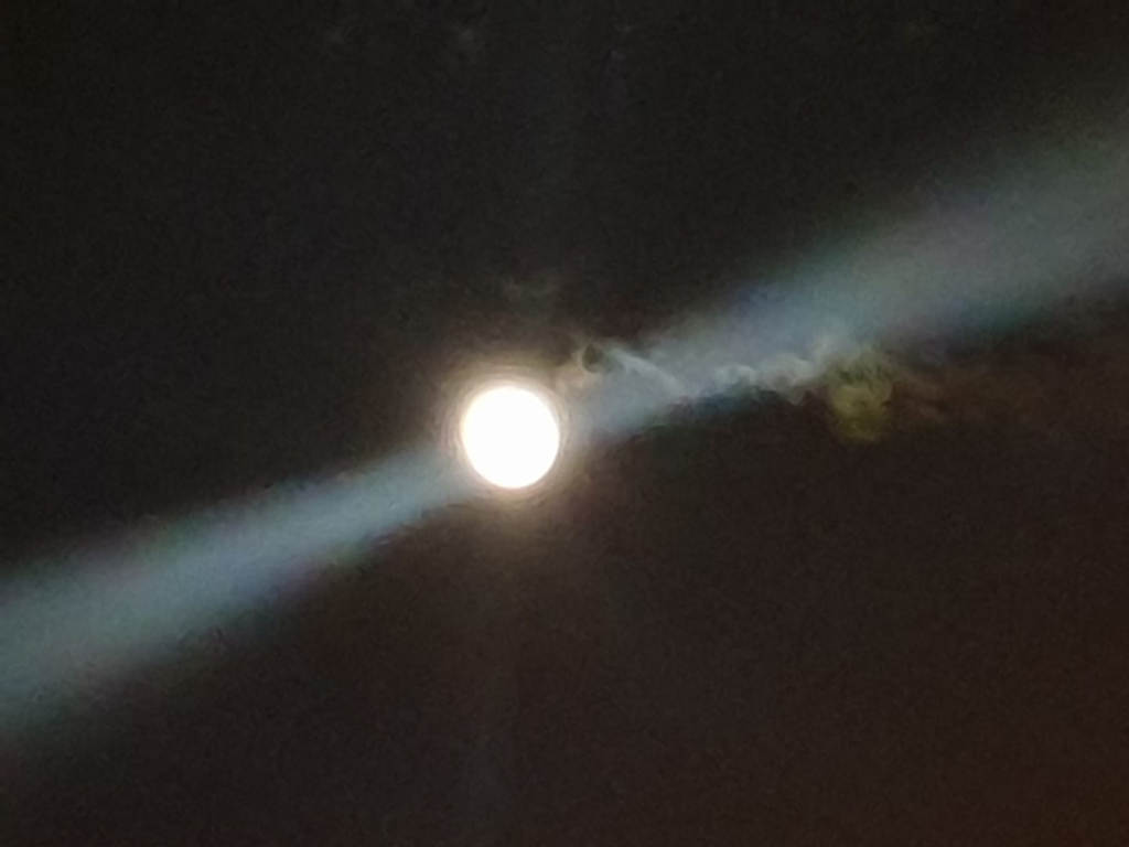 Drroberto Sassone Psicoterapeuta Reichiano Articoli - 